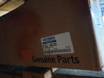 Hyundai Cylinder Assy LH 31LC-30120